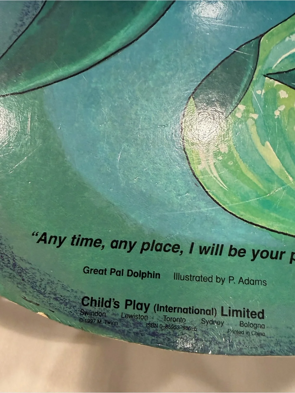 Pocket Dolphin Great Pal Twinn 1998 Baby Board Book